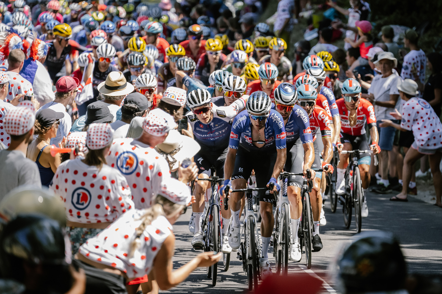 2024 Tour de France VIP Spectator Tour Pyrenees Thomson Bike